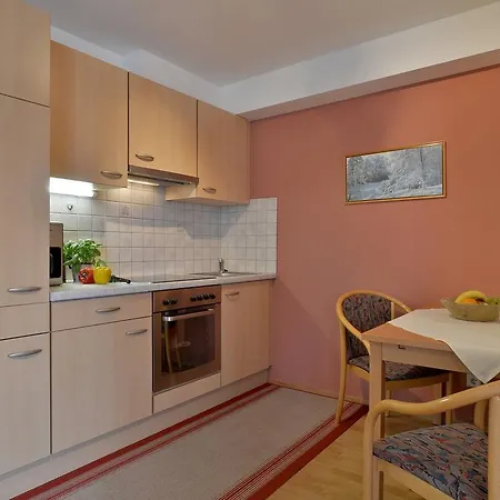 Haus Der Mitte Apartment Mayrhofen